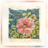 Click.Artistry Photo Art Scrap.Words 3