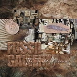 Museum Natural History Papers