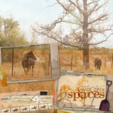 Down On The Farm Collection