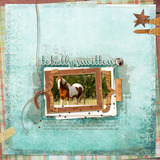 Down On The Farm Collection