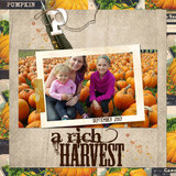 Down On The Farm Collection