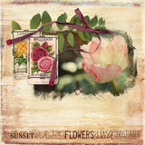 In My Garden Collection