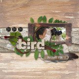 In My Garden Collection