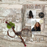 In My Garden Collection