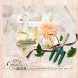 In My Garden Collection