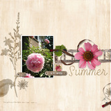 In My Garden Collection