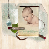 In My Garden Collection