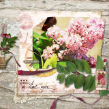 In My Garden Collection