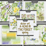 Atelier Art - A Year in the Forest MegaBundle