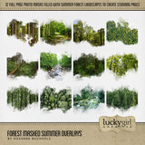 Forest Flora & Fauna Mega Bundle