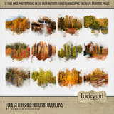 Forest Flora & Fauna Mega Bundle