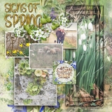 Atelier Art - A Year in the Forest MegaBundle