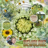 Atelier Art - A Year in the Forest MegaBundle