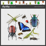 Insects and Bugs Kit