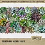 Desert Flora & Fauna Succulents