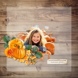 Flower Garden in Orange