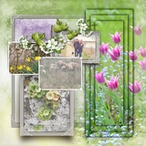 FrameMania - Silver Decorative Frames