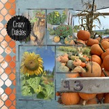 Edgemania - Decorative Edges 1