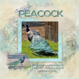 Watercolored Brown & Cream