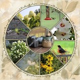 Watercolored Brown & Cream