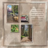 Watercolored Brown & Cream