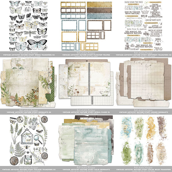 Vintage Artistry Nature Study Scrapbooking Bundle 03 Digital Art - Digital Scrapbooking Kits