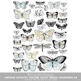 Vintage Artistry Nature Study Scrapbooking Bundle 03