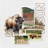 Watercolor Textured Papers