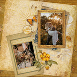 Golden Hour Collection