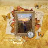 Golden Hour Collection