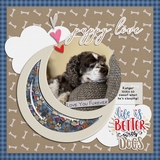 Everyday Confetti Shakers