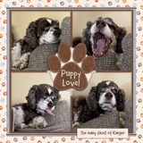 Everyday Enhanced Stitches