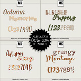 Designs by Mandy King Designer Days Exclusive Bundle 2 - October 2024