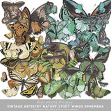 Katie Pertiet Designs Designer Days Exclusive Bundle - October 2024