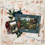 Simply Vintage Cluster Groups - Frames