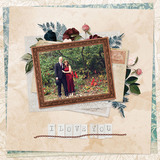 Simply Vintage Cluster Groups - Frames