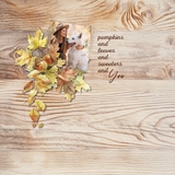 Wood Papers & Overlays