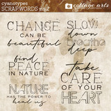 Cyanotypes 2 Collection