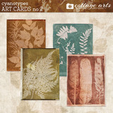 Cyanotypes 2 Collection