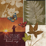 Cyanotypes 2 Art Cards