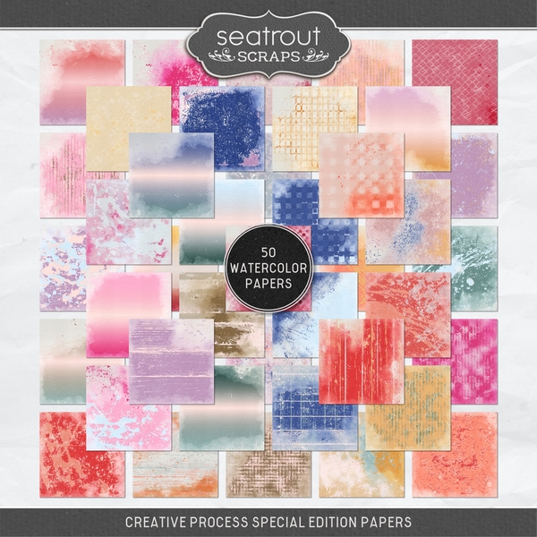 Creative Process Special Edition Papers Digital Art - Digital Scrapbooking Kits