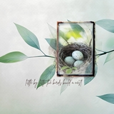 Deluxe Watercolor Teal Leaf Papers