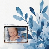 Deluxe Watercolor Blue Leaf Papers