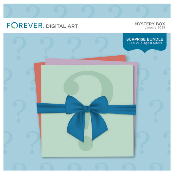 Mystery Box January 2025