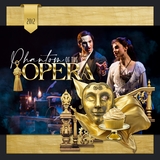 Curated Colors Gold Bundle