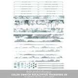 Color Swatch Eucalyptus Transfers 05
