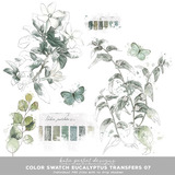 Color Swatch Eucalyptus Transfers 07