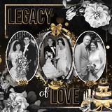 New Year Watercolor Elements