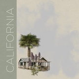 Vintage Pages - Grab Bag 2