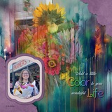 EZ Shapes & Edges - Fancy Bundle 1